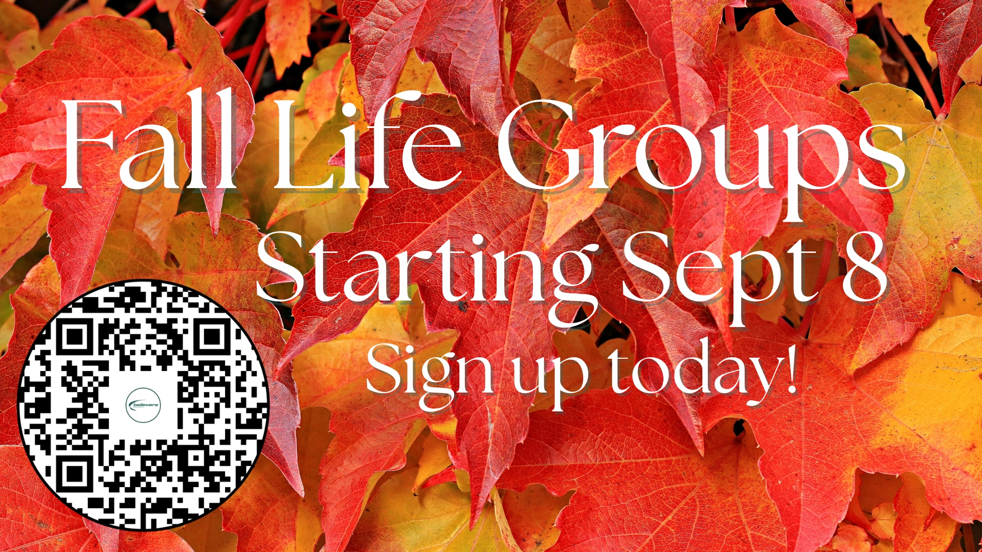 Fall Life Groups Sign Up QR.jpg